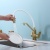 R85.62.03_6