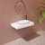 AS2601_1 AS2601_1