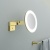 zerkalo-s-podsvetkoy-timo-petruma-15276-17-zoloto-matovoe_kgi_big_25692